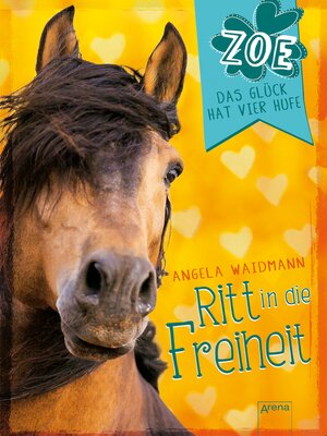 cover image of Ritt in die Freiheit